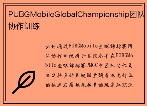 PUBGMobileGlobalChampionship团队协作训练