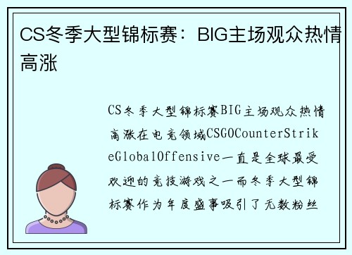 CS冬季大型锦标赛：BIG主场观众热情高涨