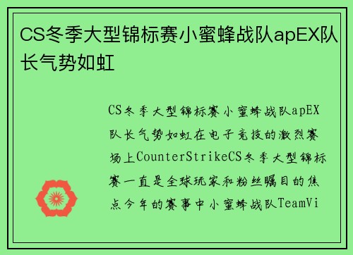 CS冬季大型锦标赛小蜜蜂战队apEX队长气势如虹
